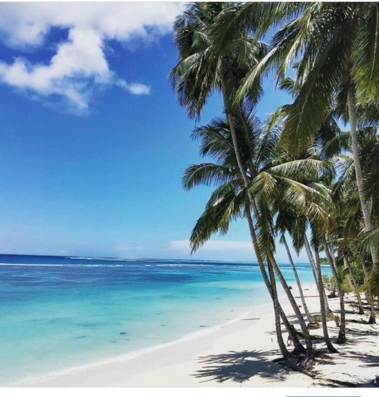 Nasara Resort Mentawai Tua Pejat Buitenkant foto